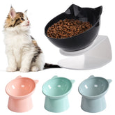 High Foot Dog Feeding Bowl